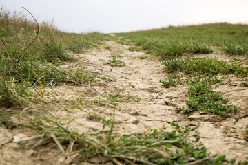 Dry cracked land. Slovakia
