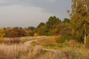 fall in danish countryside