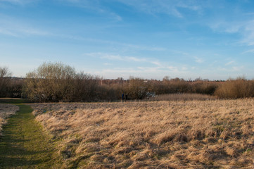 field in Denmark