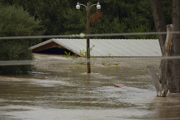 Rooftop, telephone pole and trees protruding from flood waters