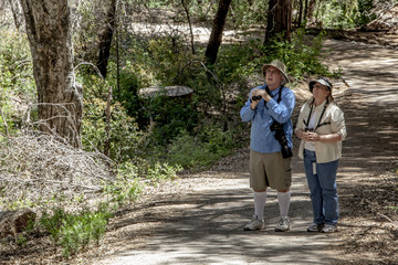 Obraz premium Couple Hiking and Birdwatching in Woods on a Sunny Day