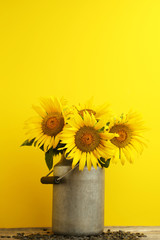 Sunflowers in aluminium can on yellow background