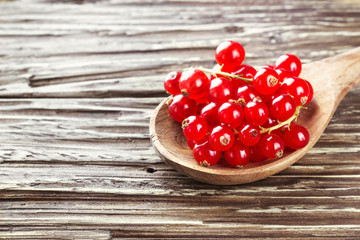 Fresh harvested redcurrant in wooden spoon on rustic wooden table background, selective focus, copy space.