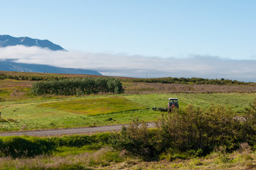 Farming on island of Hrisey in Iceland