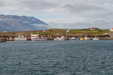 Fototapeta na wymiar harbor of village of Hrisey in Iceland