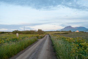 Fototapeta na wymiar gravel road on island of Hrisey in Iceland