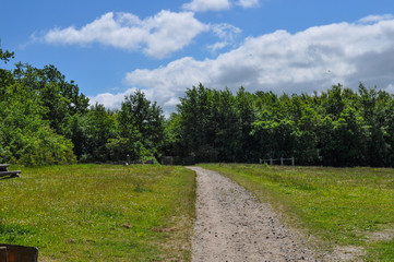 path in Danish park