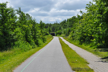 Fototapeta premium path in Aalborg Denmark