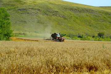 Obraz premium Harvester machine workin