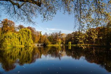Jesień w parku © Senatorek