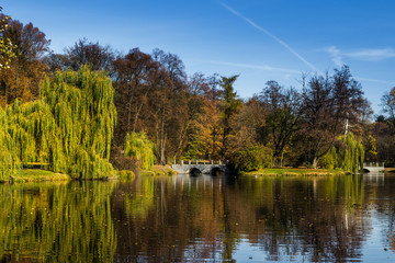 Jesień w parku © Senatorek
