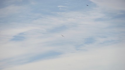 Wolkenformation am Himmel mit Greifvögeln im Gleitflug