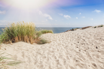 Fototapeta na wymiar Dunes on the shore of the Baltic Sea, Neringa, Lithuania