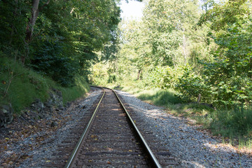 Fototapeta premium Train Tracks