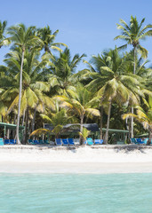Obraz premium Caribbean sea with turquoise water and palms close to Saona island