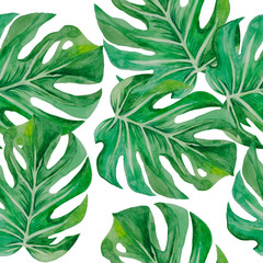 Monstera pattern 