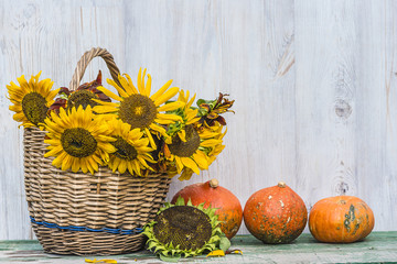 bright autumn composition with pumpkins and sunflowers in wicker basket with copy space
