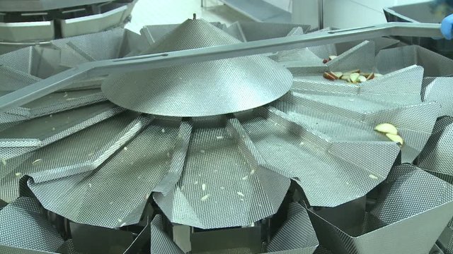 Worker Hand Pours Cut Potato Pieces on Special Sorter