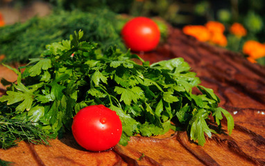 fresh tomatoes with parsley and dill