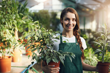Confident gardener holding plants in pots in her own greenhouse store.