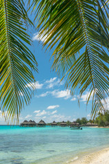 Naklejka na ściany i meble Paradise view of Rangiroa atoll, French Polynesia