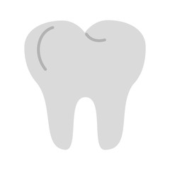 molar tooth dentistry related icon image vector illustration design 