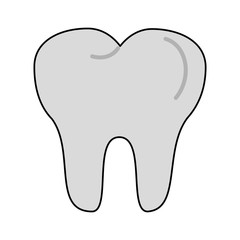 molar tooth dentistry related icon image vector illustration design 