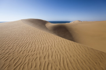 Fototapeta na wymiar Sanddünen in der Wüste Namib in Namibia