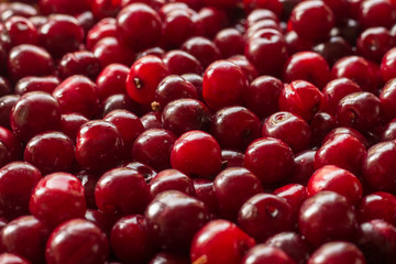 cherry background
