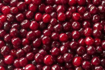 cherry background