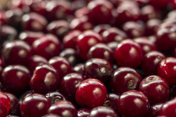 cherry background