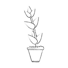 potted plant icon image vector illustration design  sketch style