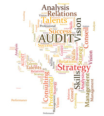 AUDIT consulting word cloud