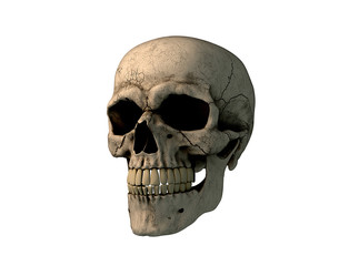 Human skull on Rich Colors a White Isolated Background. The concept of death, horror. A symbol of spooky Halloween. 3d rendering illustration.