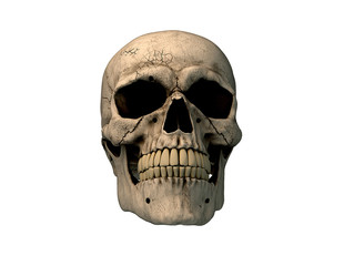 Human skull on Rich Colors a White Isolated Background. The concept of death, horror. A symbol of spooky Halloween. 3d rendering illustration.