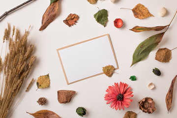 Autumn frame: fallen leaves, dry petals, dried flowers and plants, blank stationary template / invitation mock up / empty paper card with small leaf on white. Top view. Flat lay.