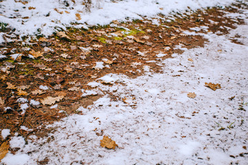 autumn themes for background