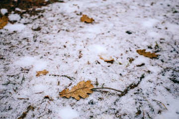 autumn themes for background