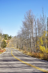 Picture of a scenic road in autumn