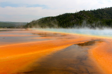 Grand Primastic Yellowstone