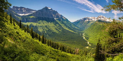 Panoramic view of Logan Pass in Glacier National Park, Montana - obrazy, fototapety, plakaty