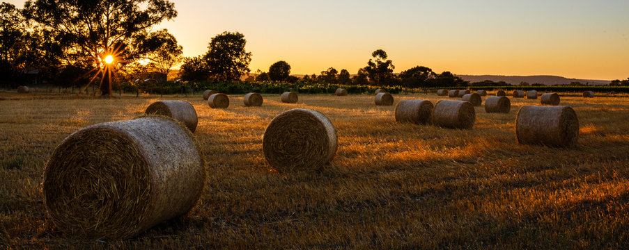 Straw Bales in the Swan Valley of Western Australia
