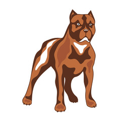 Dog of combative breed illustration.