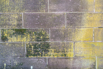 Feuchte Sandstein Wand