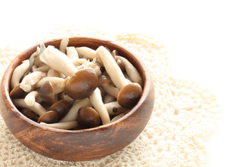 boiled Shimeji mushroom