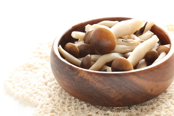 boiled Shimeji mushroom