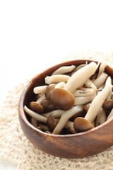 boiled Shimeji mushroom