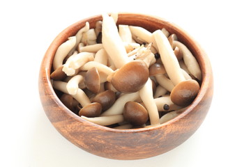 boiled Shimeji mushroom
