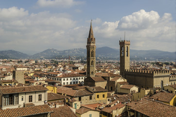 Fototapeta na wymiar panorama of roofs and towers of Florence