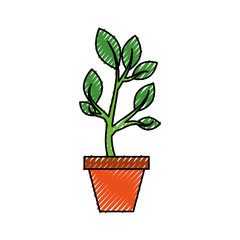 growing tree sprouts rising from ceramic pot concept vector illustration